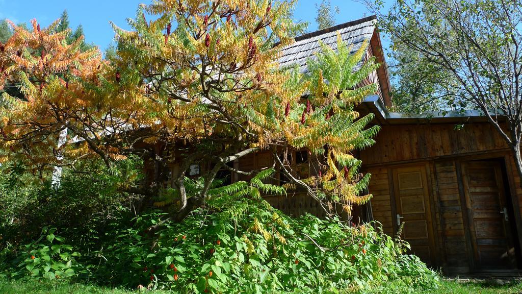 Woodenhouse Maramures Viseu de Sus Bagian luar foto