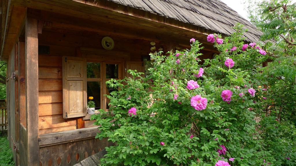 Woodenhouse Maramures Viseu de Sus Bagian luar foto